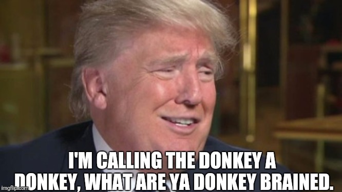 I'M CALLING THE DONKEY A DONKEY, WHAT ARE YA DONKEY BRAINED. | made w/ Imgflip meme maker
