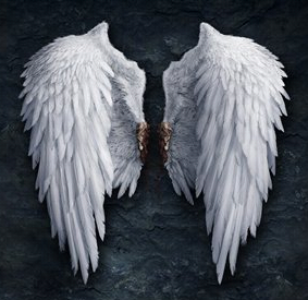 angel wings template