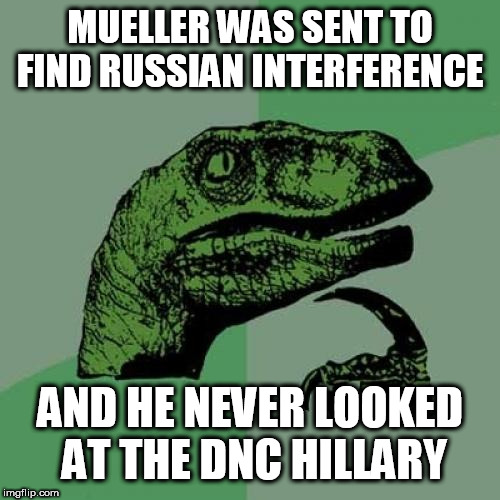 Philosoraptor Meme | MUELLER WAS SENT TO FIND RUSSIAN INTERFERENCE; AND HE NEVER LOOKED AT THE DNC HILLARY | image tagged in memes,philosoraptor | made w/ Imgflip meme maker