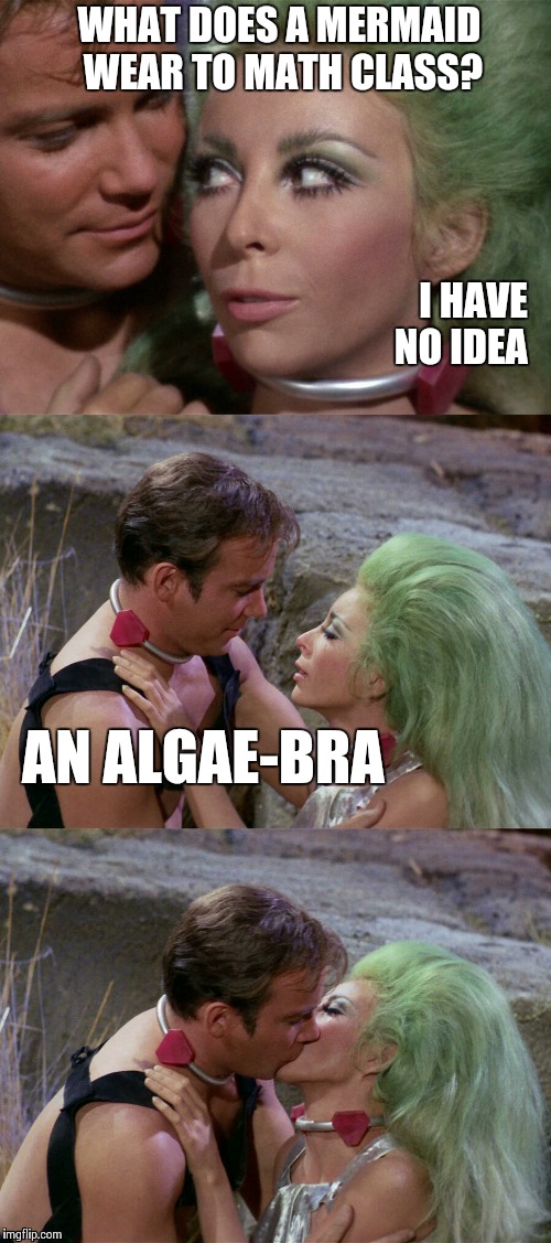 Bad Pun Smoochie Kirk and Shahna | WHAT DOES A MERMAID WEAR TO MATH CLASS? I HAVE NO IDEA; AN ALGAE-BRA | image tagged in bad pun smoochie kirk and shahna,memes,star trek,frontpage | made w/ Imgflip meme maker