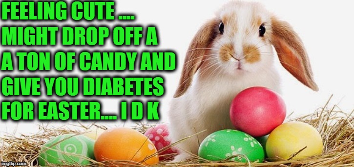 Easter Diabetes | FEELING CUTE .... MIGHT DROP OFF A; A TON OF CANDY AND; GIVE YOU DIABETES; FOR EASTER.... I D K | image tagged in feeling cute,bunny,diabetes | made w/ Imgflip meme maker