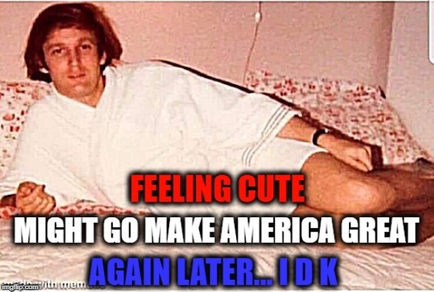 Trump feeling cute | image tagged in maga,trump,usa,feeling cute,idk | made w/ Imgflip meme maker