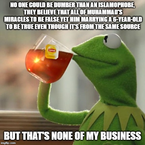 No One Could Be Dumber Than An Islamophobe | NO ONE COULD BE DUMBER THAN AN ISLAMOPHOBE, THEY BELIEVE THAT ALL OF MUHAMMAD'S MIRACLES TO BE FALSE YET HIM MARRYING A 6-YEAR-OLD TO BE TRUE EVEN THOUGH IT'S FROM THE SAME SOURCE; BUT THAT'S NONE OF MY BUSINESS | image tagged in memes,but thats none of my business,kermit the frog | made w/ Imgflip meme maker