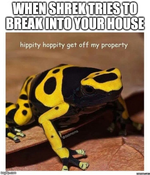 hippity hoppity | WHEN SHREK TRIES TO BREAK INTO YOUR HOUSE | image tagged in hippity hoppity | made w/ Imgflip meme maker