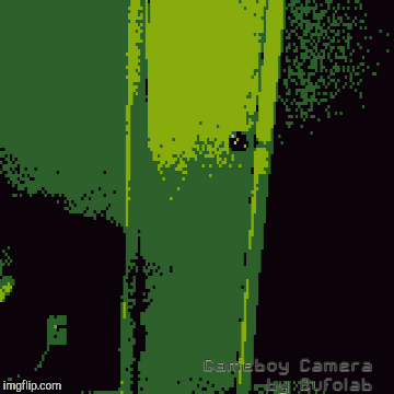 Game Boy Camera | image tagged in gifs,camera | made w/ Imgflip images-to-gif maker