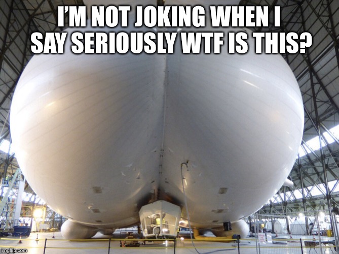 WTF | I’M NOT JOKING WHEN I SAY SERIOUSLY WTF IS THIS? | image tagged in wtf | made w/ Imgflip meme maker
