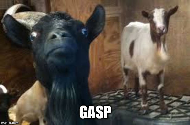 GASP | made w/ Imgflip meme maker