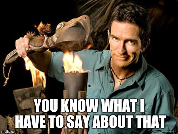 Survivor | YOU KNOW WHAT I HAVE TO SAY ABOUT THAT | image tagged in survivor | made w/ Imgflip meme maker