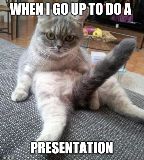 Sexy Cat Meme | WHEN I GO UP TO DO A; PRESENTATION | image tagged in memes,sexy cat | made w/ Imgflip meme maker
