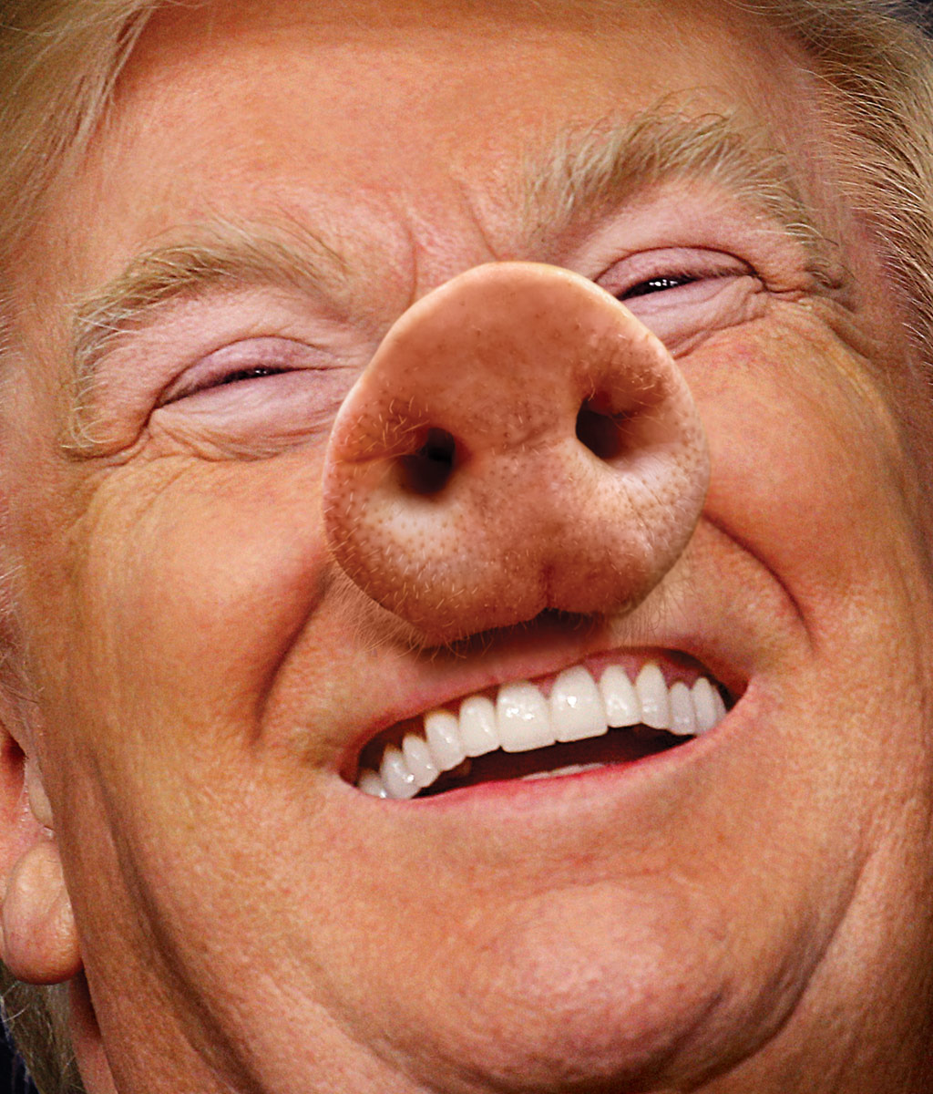 High Quality Trump Pig Blank Meme Template