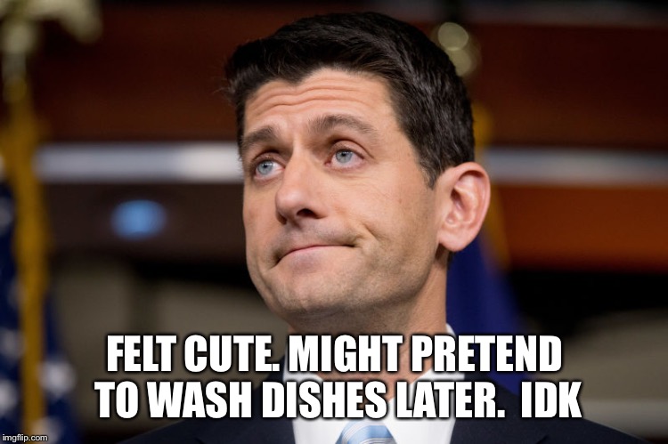 Paul Ryan | FELT CUTE. MIGHT PRETEND TO WASH DISHES LATER.  IDK | image tagged in paul ryan | made w/ Imgflip meme maker