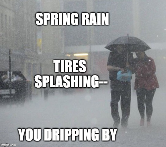 SENRYU | TIRES SPLASHING--; SPRING RAIN; YOU DRIPPING BY | image tagged in raining,senryu,poetry,memes | made w/ Imgflip meme maker
