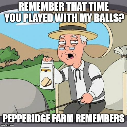Pepperidge Farm Remembers Meme | REMEMBER THAT TIME YOU PLAYED WITH MY BALLS? PEPPERIDGE FARM REMEMBERS | image tagged in memes,pepperidge farm remembers | made w/ Imgflip meme maker