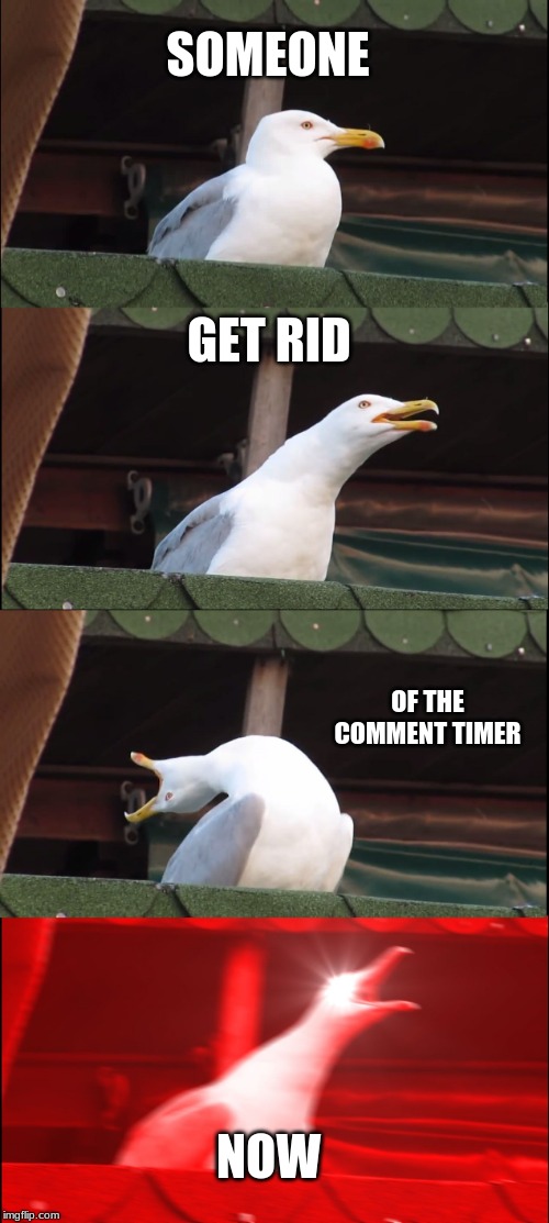 Inhaling Seagull Meme | SOMEONE; GET RID; OF THE COMMENT TIMER; NOW | image tagged in memes,inhaling seagull | made w/ Imgflip meme maker