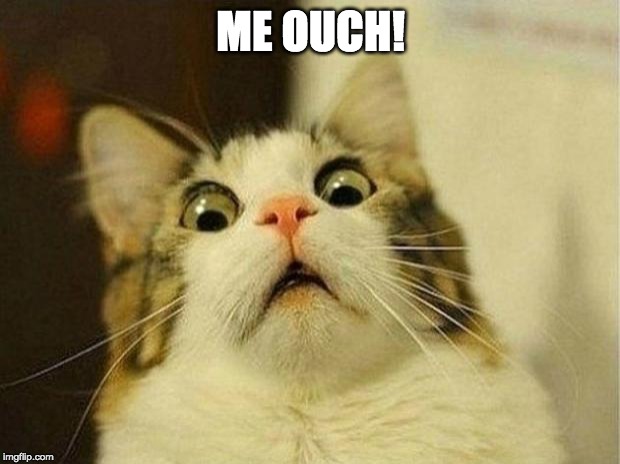 Scared Cat Meme | ME OUCH! | image tagged in memes,scared cat | made w/ Imgflip meme maker