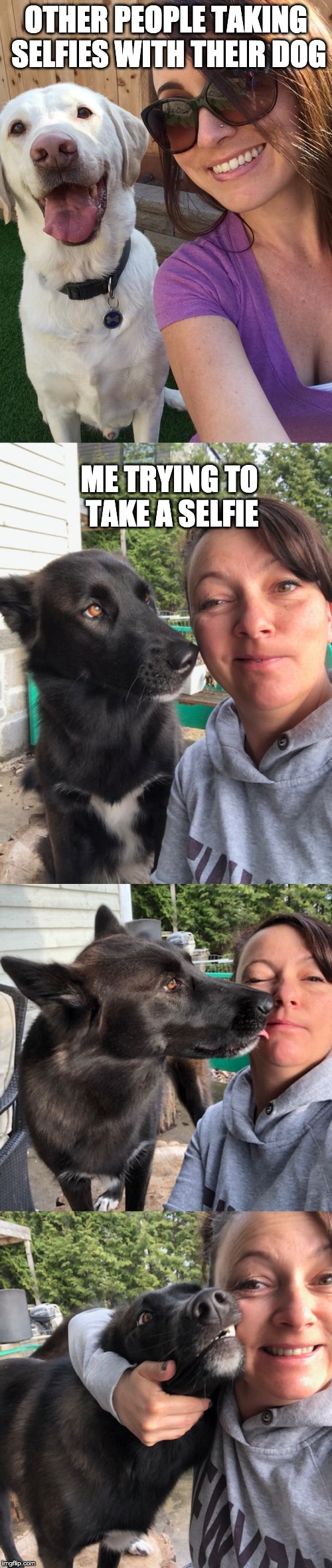 me and my dog | OTHER PEOPLE TAKING SELFIES WITH THEIR DOG; ME TRYING TO TAKE A SELFIE | image tagged in selfies | made w/ Imgflip meme maker