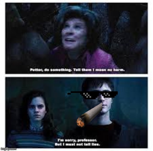 image tagged in harry potter | made w/ Imgflip meme maker