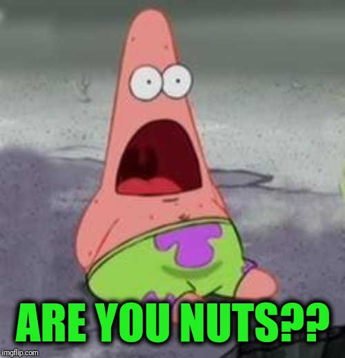 Suprised Patrick | ARE YOU NUTS?? | image tagged in suprised patrick | made w/ Imgflip meme maker