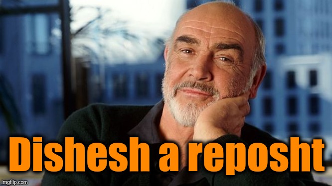 Dishesh a reposht | image tagged in sean | made w/ Imgflip meme maker