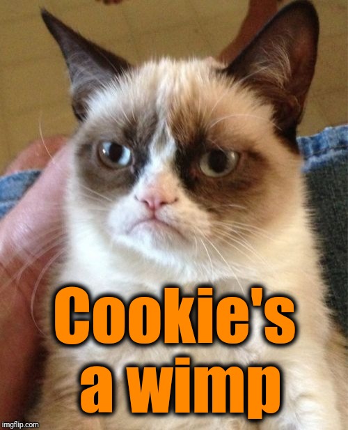 Grumpy Cat Meme | Cookie's a wimp | image tagged in memes,grumpy cat | made w/ Imgflip meme maker