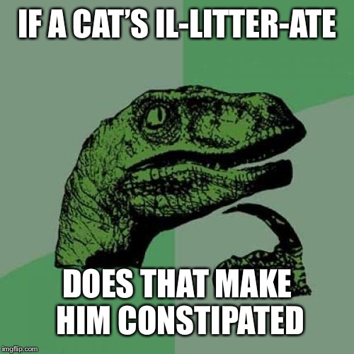 Philosoraptor Meme | IF A CAT’S IL-LITTER-ATE DOES THAT MAKE HIM CONSTIPATED | image tagged in memes,philosoraptor | made w/ Imgflip meme maker