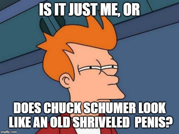 Futurama Fry Meme | IS IT JUST ME, OR DOES CHUCK SCHUMER LOOK LIKE AN OLD SHRIVELED  P**IS? | image tagged in memes,futurama fry | made w/ Imgflip meme maker