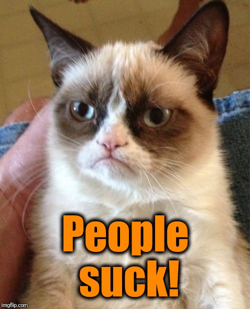 Grumpy Cat Meme | People suck! | image tagged in memes,grumpy cat | made w/ Imgflip meme maker