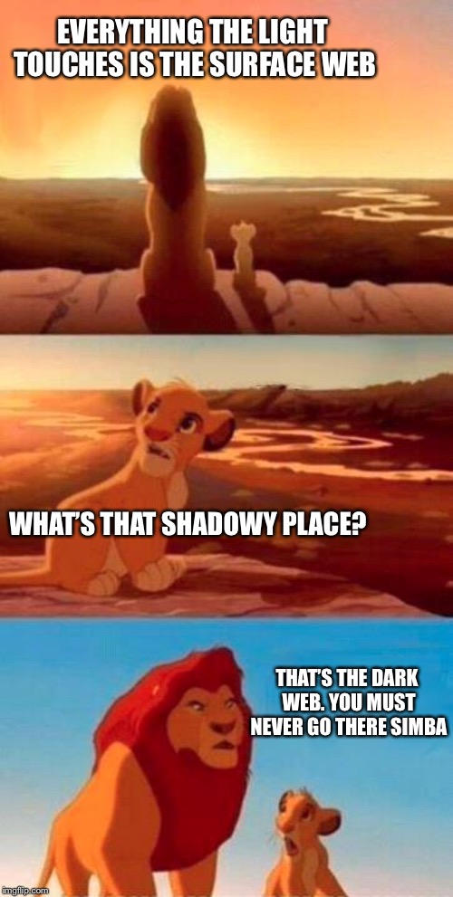 Lion King | EVERYTHING THE LIGHT TOUCHES IS THE SURFACE WEB; WHAT’S THAT SHADOWY PLACE? THAT’S THE DARK WEB. YOU MUST NEVER GO THERE SIMBA | image tagged in lion king | made w/ Imgflip meme maker