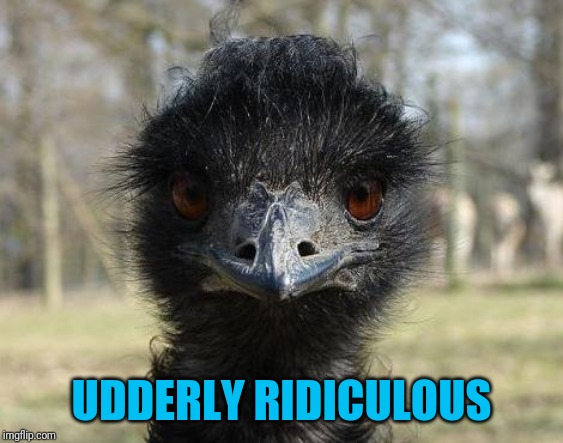 Bad News Emu | UDDERLY RIDICULOUS | image tagged in bad news emu | made w/ Imgflip meme maker