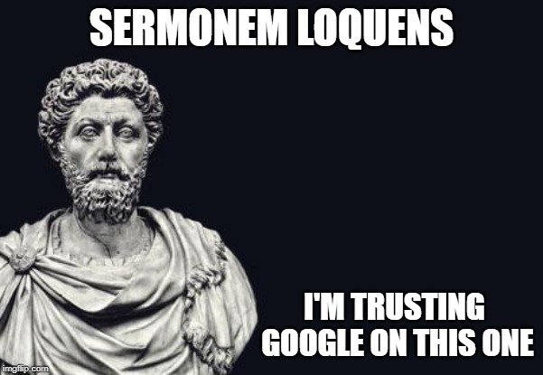 Marcus Aurelius | SERMONEM LOQUENS I'M TRUSTING GOOGLE ON THIS ONE | image tagged in marcus aurelius | made w/ Imgflip meme maker