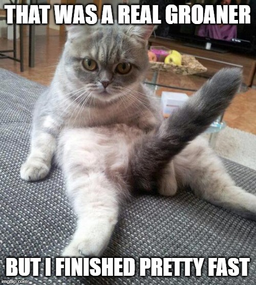 Sexy Cat Meme | THAT WAS A REAL GROANER BUT I FINISHED PRETTY FAST | image tagged in memes,sexy cat | made w/ Imgflip meme maker