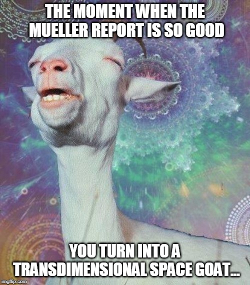 Space Goat | THE MOMENT WHEN THE MUELLER REPORT IS SO GOOD; YOU TURN INTO A TRANSDIMENSIONAL SPACE GOAT... | image tagged in space goat | made w/ Imgflip meme maker