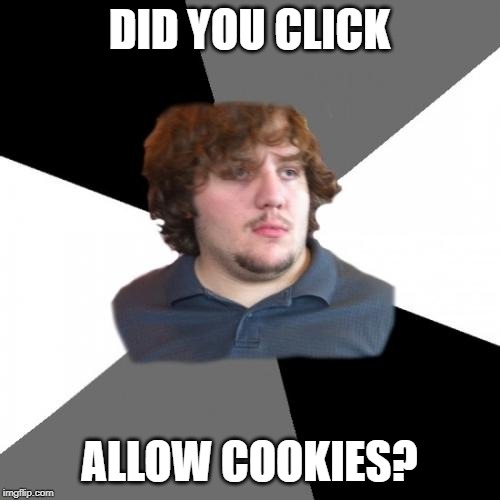 Family Tech Support Guy Meme | DID YOU CLICK ALLOW COOKIES? | image tagged in memes,family tech support guy | made w/ Imgflip meme maker
