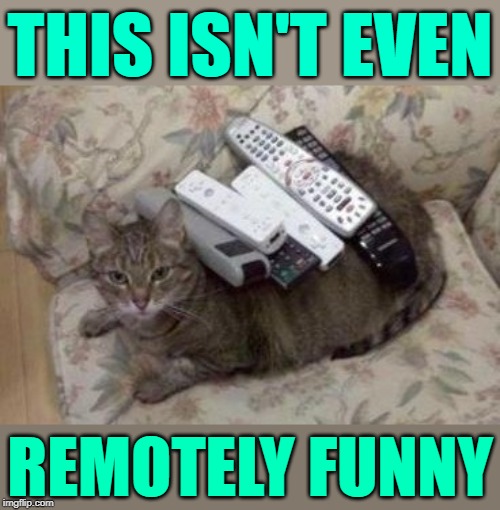 You Gotta To Be Kitten Me! Get Your Puns Ready For "Pun Weekend" Starting 19th-21st. A Triumph_9 & Craziness_all_the_way event | THIS ISN'T EVEN; REMOTELY FUNNY | image tagged in memes,cats,pun weekend,puns,animals,funny | made w/ Imgflip meme maker