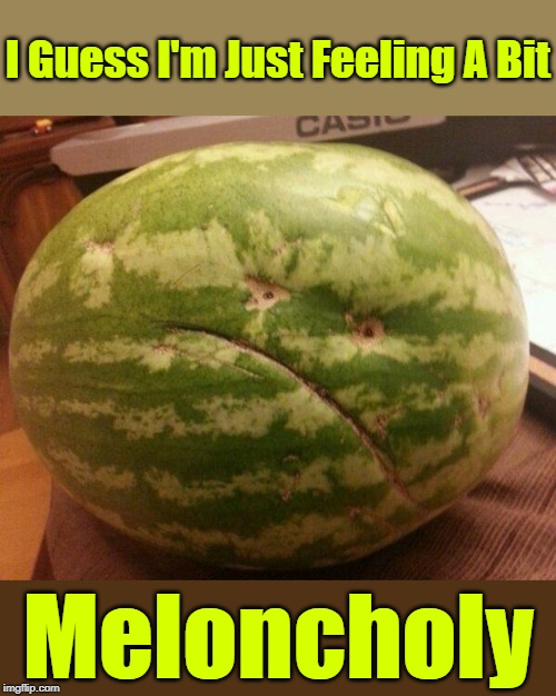 "Food That's Suits My Mood" Get Your Puns Ready For "Pun Weekend" Starting 19th-21st. A Triumph_9 & Craziness_all_the_way event | I Guess I'm Just Feeling A Bit; Meloncholy | image tagged in memes,watermelon,puns,pun weekend,fruits,frontpage | made w/ Imgflip meme maker
