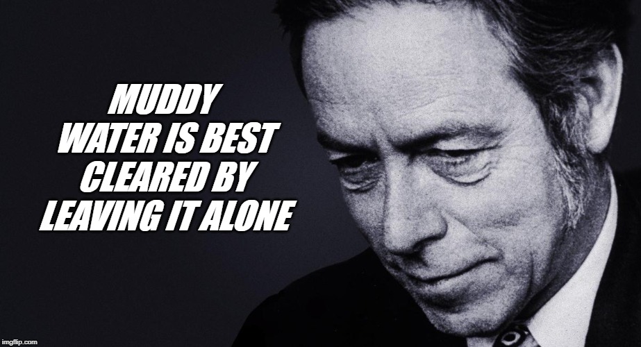 Alan Watts | MUDDY WATER IS BEST CLEARED BY LEAVING IT ALONE | image tagged in alan watts | made w/ Imgflip meme maker