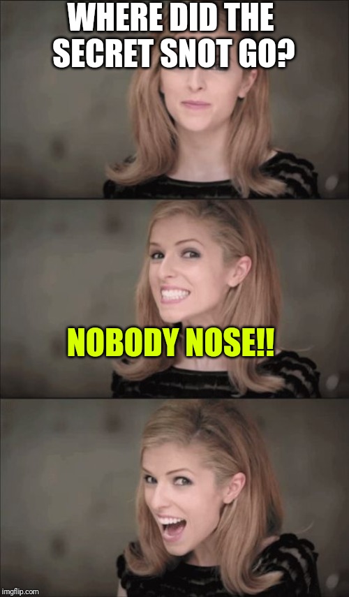 Bad Pun Anna Kendrick | WHERE DID THE SECRET SNOT GO? NOBODY NOSE!! | image tagged in memes,bad pun anna kendrick | made w/ Imgflip meme maker