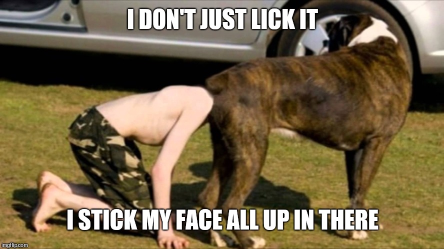 head in dog ass | I DON'T JUST LICK IT I STICK MY FACE ALL UP IN THERE | image tagged in head in dog ass | made w/ Imgflip meme maker