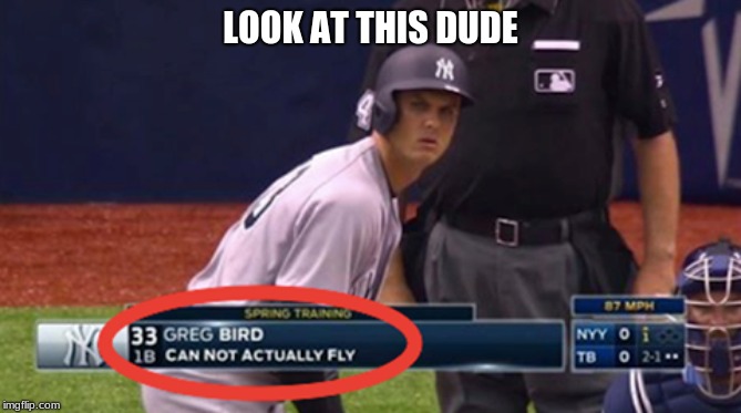 only two birds cant fly penguins and Greg bird |  LOOK AT THIS DUDE | image tagged in yankees | made w/ Imgflip meme maker