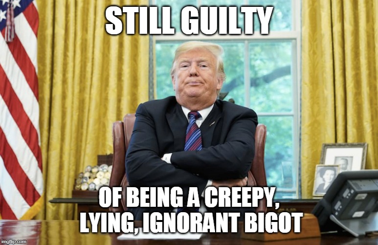 STILL GUILTY; OF BEING A CREEPY, LYING, IGNORANT BIGOT | image tagged in trump | made w/ Imgflip meme maker