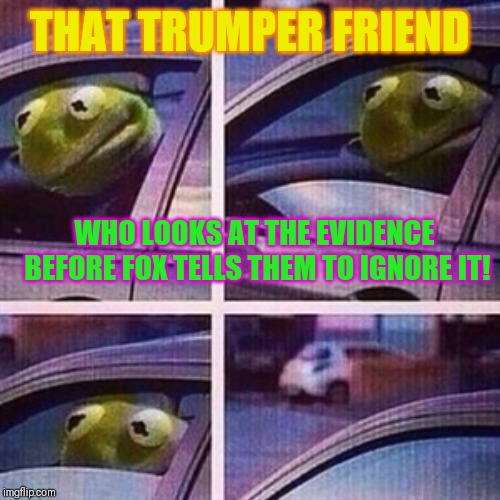 Denial! | THAT TRUMPER FRIEND; WHO LOOKS AT THE EVIDENCE BEFORE FOX TELLS THEM TO IGNORE IT! | image tagged in kermit car window,donald trump,robert mueller | made w/ Imgflip meme maker