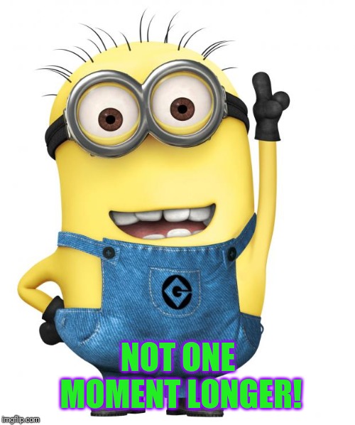 minions | NOT ONE MOMENT LONGER! | image tagged in minions | made w/ Imgflip meme maker