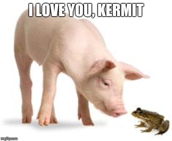 I LOVE YOU, KERMIT | made w/ Imgflip meme maker