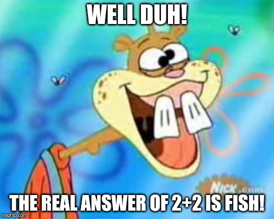 Sandy Cheeks's Math Lesson | WELL DUH! THE REAL ANSWER OF 2+2 IS FISH! | image tagged in sandy cheeks duhh,math | made w/ Imgflip meme maker