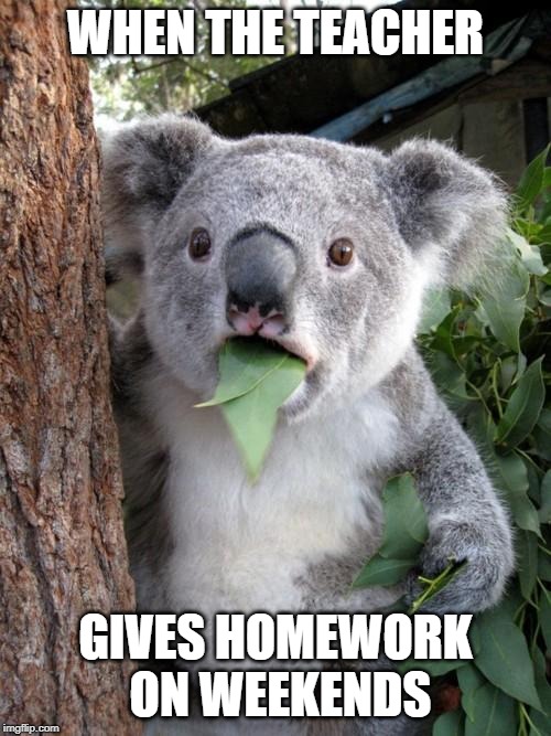 Surprised Koala | WHEN THE TEACHER; GIVES HOMEWORK ON WEEKENDS | image tagged in memes,surprised koala | made w/ Imgflip meme maker