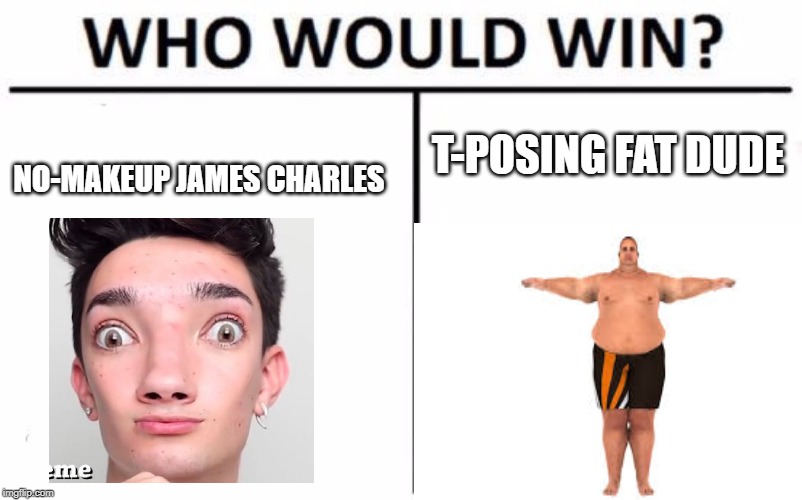 Who would win???? | T-POSING FAT DUDE; NO-MAKEUP JAMES CHARLES | image tagged in james charles | made w/ Imgflip meme maker