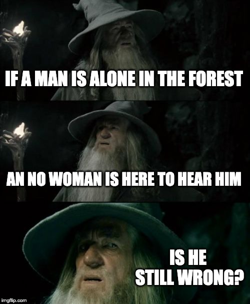 Thanks to Robert Glover for this one | IF A MAN IS ALONE IN THE FOREST; AN NO WOMAN IS HERE TO HEAR HIM; IS HE STILL WRONG? | image tagged in memes,confused gandalf | made w/ Imgflip meme maker