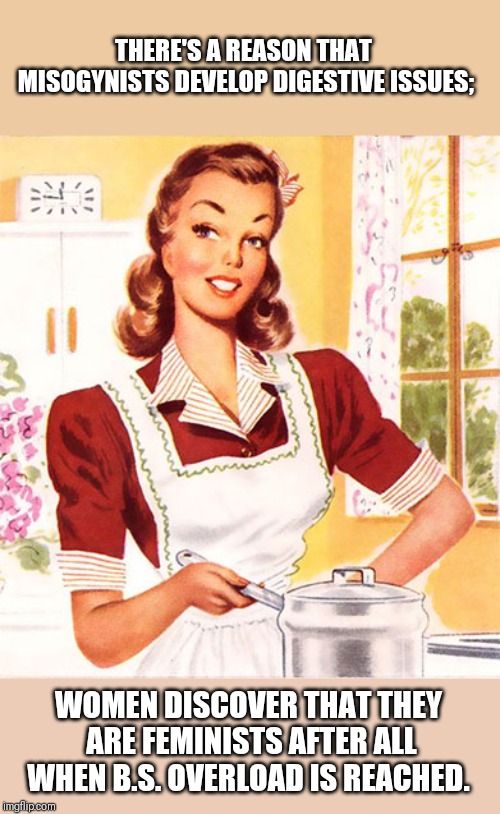 50s Housewife | THERE'S A REASON THAT MISOGYNISTS DEVELOP DIGESTIVE ISSUES; WOMEN DISCOVER THAT THEY ARE FEMINISTS AFTER ALL WHEN B.S. OVERLOAD IS REACHED. | image tagged in 50s housewife | made w/ Imgflip meme maker