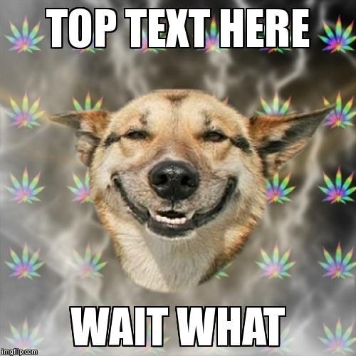 Stoner Dog | Stoner Dog Meme | image tagged in memes,stoner dog | made w/ Imgflip meme maker