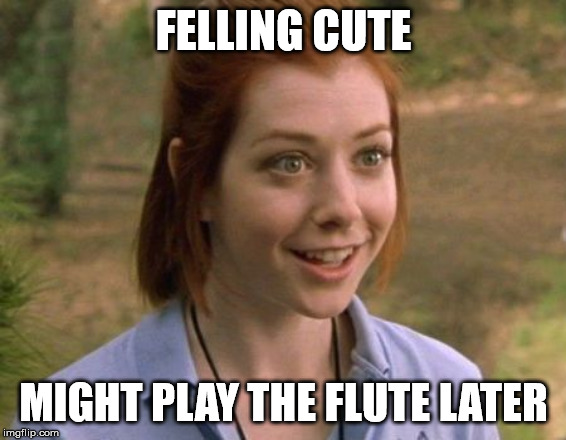 Allison Hannigan American Pie | FELLING CUTE; MIGHT PLAY THE FLUTE LATER | image tagged in allison hannigan american pie | made w/ Imgflip meme maker